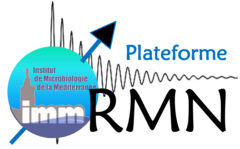NMR platform
